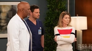 Grey’s Anatomy Season 15 Episode 25