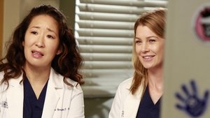 Grey’s Anatomy Season 9 Episode 8