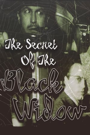 Image The Secret of the Black Widow