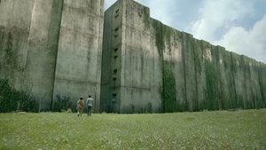 Images posters