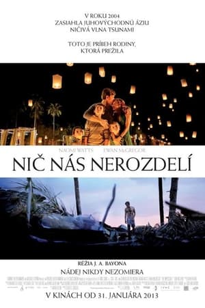 Poster Nič nás nerozdelí 2012