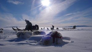 Là où naissent les icebergs (2013)