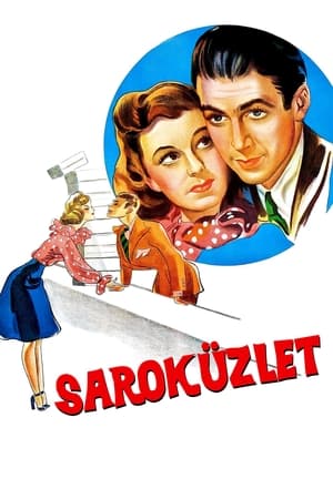 Image Saroküzlet