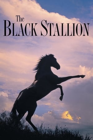 Poster The Black Stallion 1979