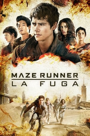 Poster Maze Runner - La fuga 2015