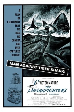 Image The Sharkfighters