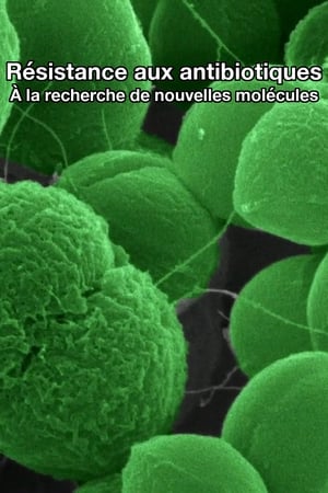 Image Résistance aux antibiotiques : À la recherche de nouvelles molécules