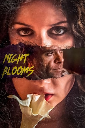 Télécharger Night Blooms ou regarder en streaming Torrent magnet 