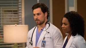 Grey’s Anatomy Season 14 Episode 22