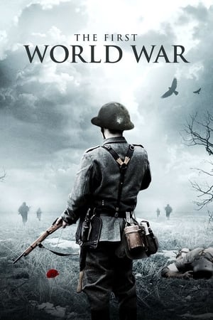 Image The First World War