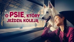 Images posters