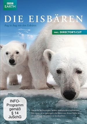 Poster Polar Bear - Spy on the Ice 2011