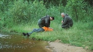 Episode 29