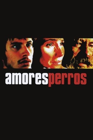 Poster Amores perros 2000