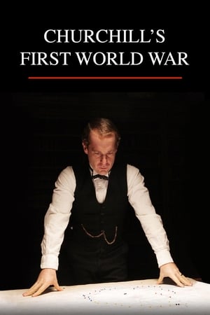 Image Churchill's First World War