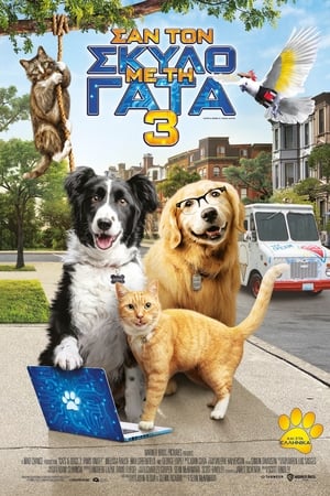 Poster Σαν το Σκύλο με τη Γάτα 3 2020