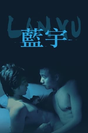 Poster 蓝宇 2001