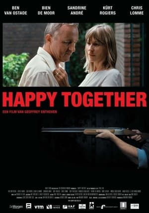 Télécharger Happy Together ou regarder en streaming Torrent magnet 