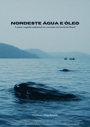 Nordeste Água e Óleo (2025)