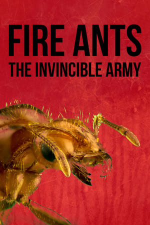 Poster Fire Ants 3D: The Invincible Army 2012