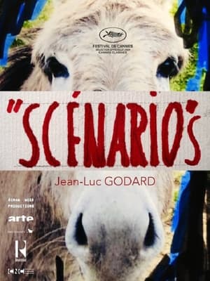 Scénarios 2024