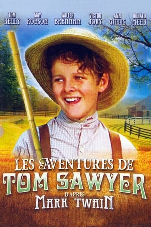 Télécharger Les Aventures de Tom Sawyer ou regarder en streaming Torrent magnet 