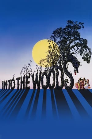 Poster Into the Woods 1991