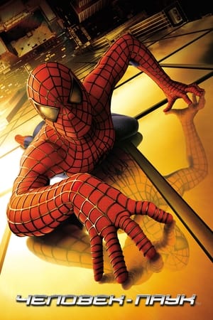 Poster Человек-паук 2002