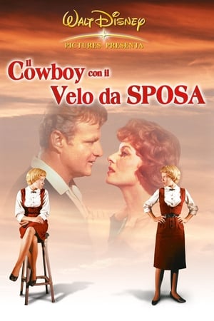 Image Il cowboy con il velo da sposa