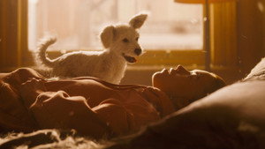Images posters
