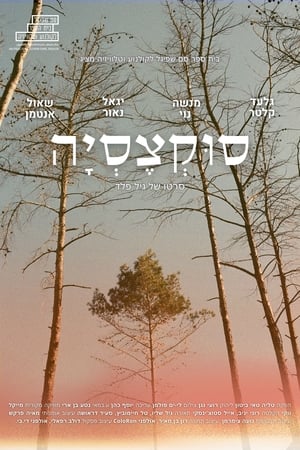 Télécharger סוקצסיה ou regarder en streaming Torrent magnet 