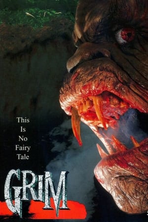 Poster Grim 1996