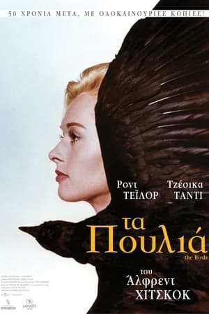 Poster Τα Πουλιά 1963