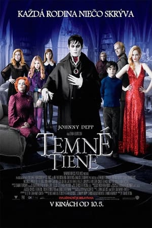 Poster Temné tiene 2012