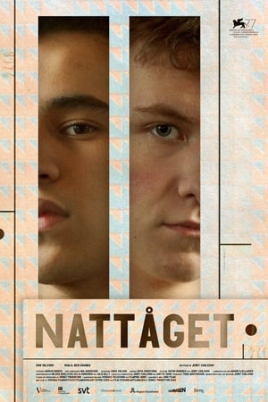 Image Nattåget