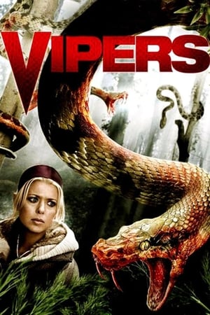 Poster Vipers 2008