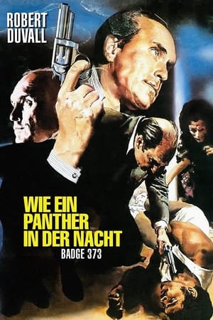 Image Wie ein Panther in der Nacht