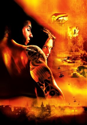 <Images posters