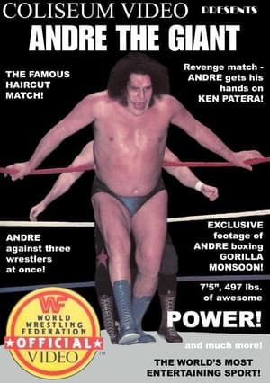 Andre the Giant 1985