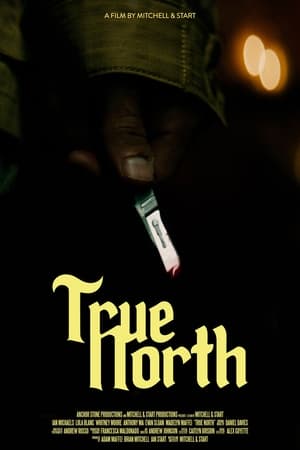 Poster True North 2021