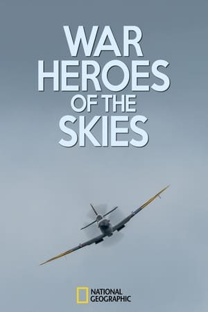 Image War Heroes of the Skies