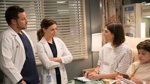 Grey’s Anatomy Season 14 Episode 18