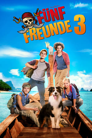 Image Fünf Freunde 3