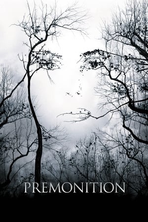 Poster Premonition 2007