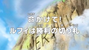 One Piece Season 17 Episode 695