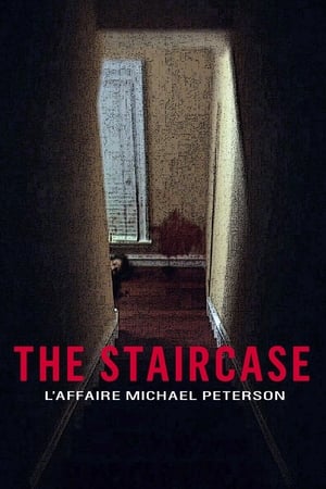 Image The Staircase - L'affaire Michael Peterson