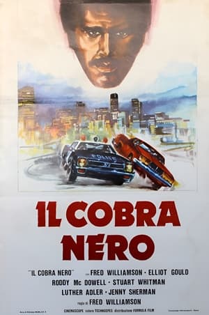 Image Il cobra nero