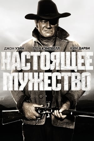 Poster Настоящее мужество 1969