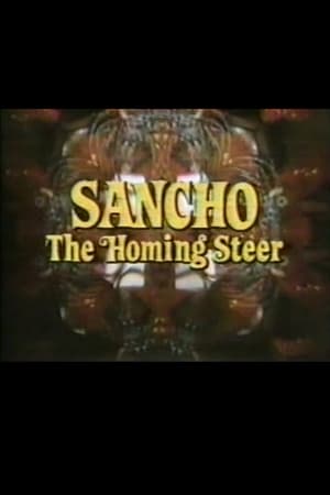 Image Sancho, the Homing Steer