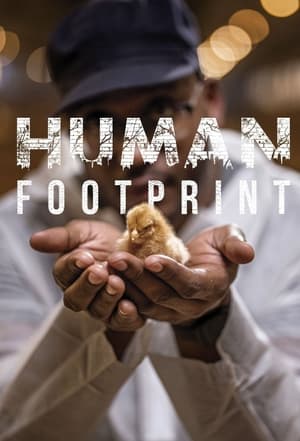 Image Human Footprint